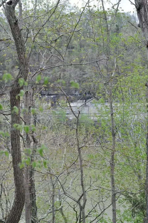 lot8 N Fork Rd, Burnside, KY 41519 photo 2