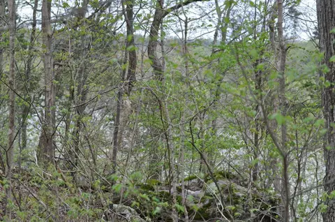 lot8 N Fork Rd, Burnside, KY 41519 photo 3