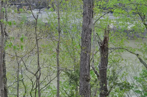 lot8 N Fork Rd, Burnside, KY 41519