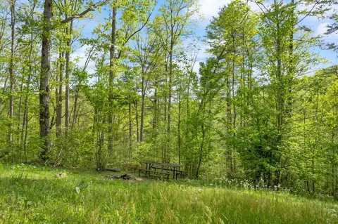 457 Black Bear Ridge Rd, Campton, KY 41301 photo 50