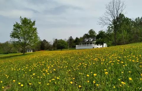 Other - 1037 High Rock Rd, Stanton, KY 40380 photo 2 of 17