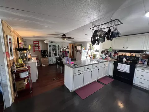 264 Circle Ln, Burnside, KY 42519 photo 5