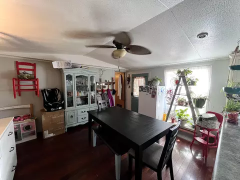 264 Circle Ln, Burnside, KY 42519 photo 4