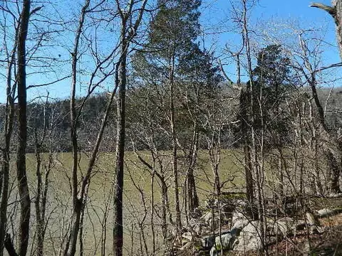 86 N Fork Dr, Burnside, KY 41519