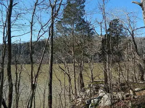 86 N Fork Dr, Burnside, KY 41519 photo 4