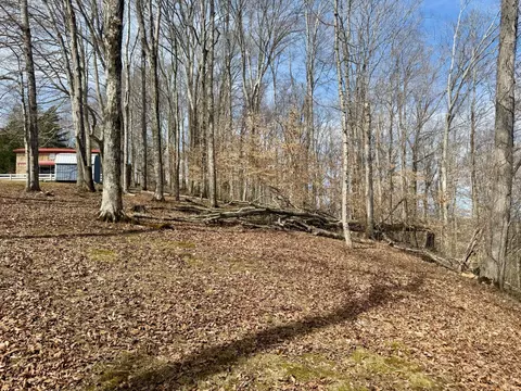 Exterior - 157 Eldridge Ln, Nancy, KY 42544 photo 8 of 13