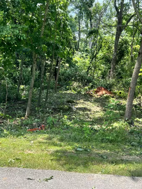 908 Stone Gate Drive, Burnside, KY 42519 photo 10