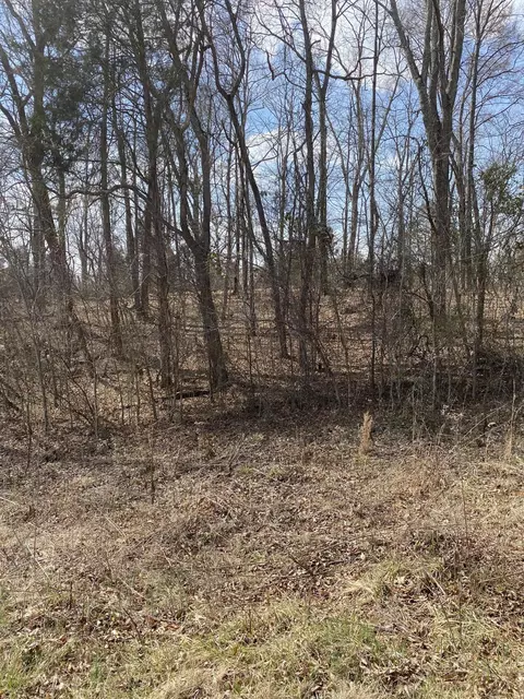 lot1 N Fork Rd, Burnside, KY 42519 photo 3