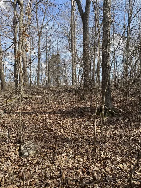 lot1 N Fork Rd, Burnside, KY 42519 photo 2