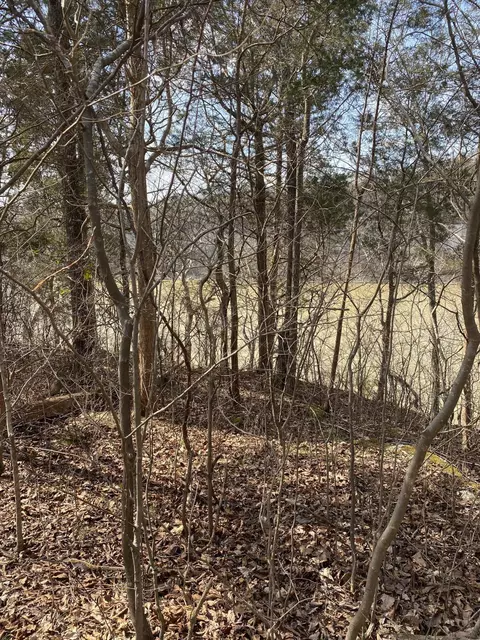 lot1 N Fork Rd, Burnside, KY 42519