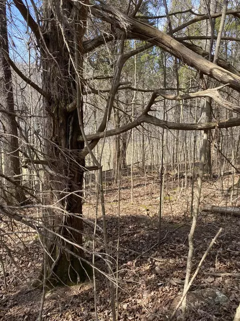 lot19 N Fork Rd, Burnside, KY 42519