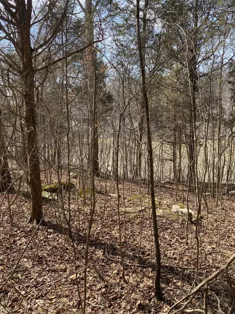 lot20 N Fork Rd, Burnside, KY 42519 photo 2
