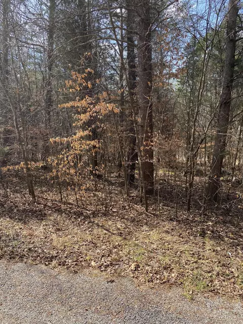 lot20 N Fork Rd, Burnside, KY 42519