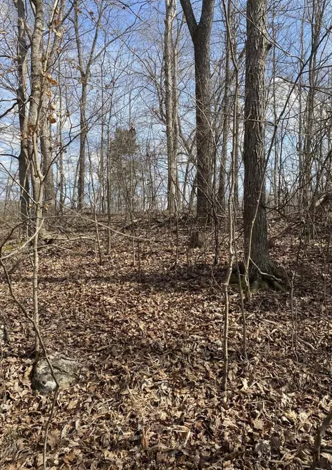 lot3 N Fork Rd, Burnside, KY 42519 photo 3