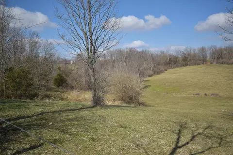 0 Hick Hardy Rd, Cynthiana, KY 41031