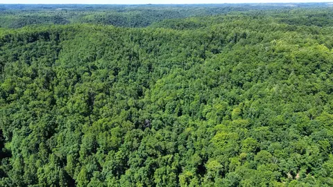 Other - 450 Ky Hwy 542, Jackson, KY 41339 photo 22 of 80
