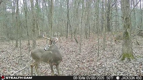 Other - 450 Ky Hwy 542, Jackson, KY 41339 photo 71 of 80
