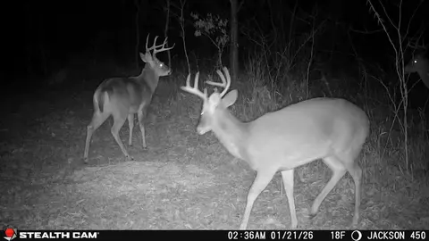 Other - 450 Ky Hwy 542, Jackson, KY 41339 photo 77 of 80