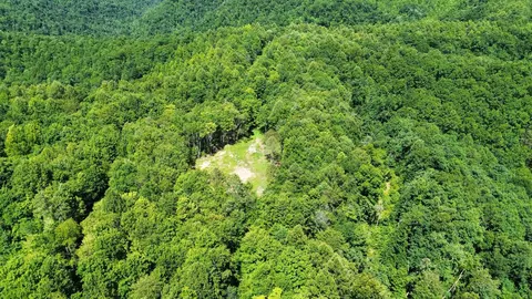 Other - 450 Ky Hwy 542, Jackson, KY 41339 photo 17 of 80