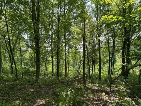 Other - 450 Ky Hwy 542, Jackson, KY 41339 photo 43 of 80