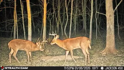 Other - 450 Ky Hwy 542, Jackson, KY 41339 photo 69 of 80