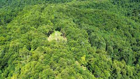 Other - 450 Ky Hwy 542, Jackson, KY 41339 photo 3 of 80