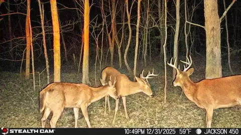 Other - 450 Ky Hwy 542, Jackson, KY 41339 photo 49 of 80