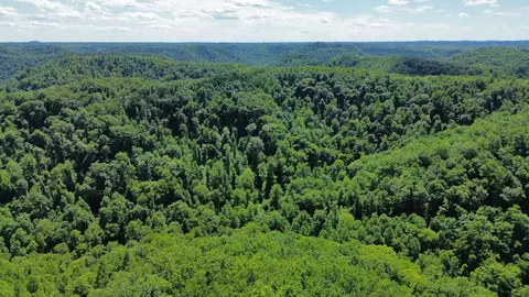 Other - 450 Ky Hwy 542, Jackson, KY 41339 photo 7 of 80