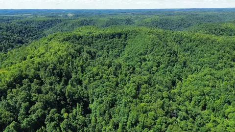 Other - 450 Ky Hwy 542, Jackson, KY 41339 photo 24 of 80