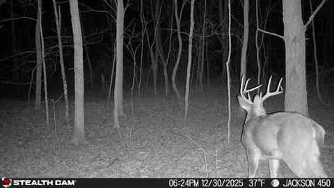 Other - 450 Ky Hwy 542, Jackson, KY 41339 photo 47 of 80
