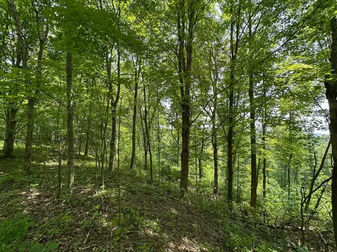 Other - 450 Ky Hwy 542, Jackson, KY 41339 photo 44 of 80