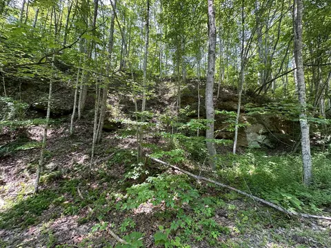 Other - 450 Ky Hwy 542, Jackson, KY 41339 photo 45 of 80