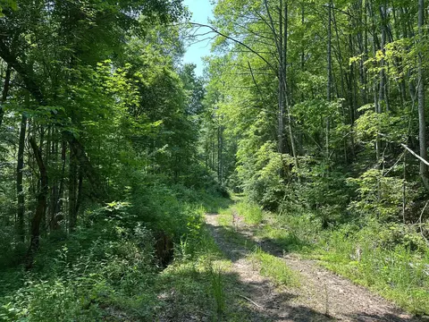 Other - 450 Ky Hwy 542, Jackson, KY 41339 photo 39 of 80
