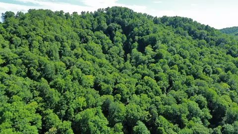 View/Area - 450 Ky Hwy 542, Jackson, KY 41339 photo 10 of 13