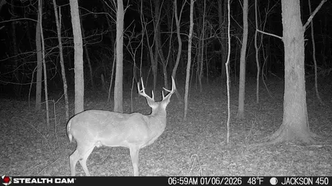 Other - 450 Ky Hwy 542, Jackson, KY 41339 photo 73 of 80