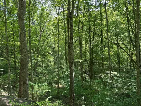 Other - 450 Ky Hwy 542, Jackson, KY 41339 photo 36 of 80
