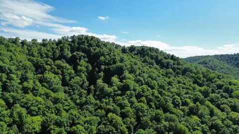 Other - 450 Ky Hwy 542, Jackson, KY 41339 photo 25 of 80