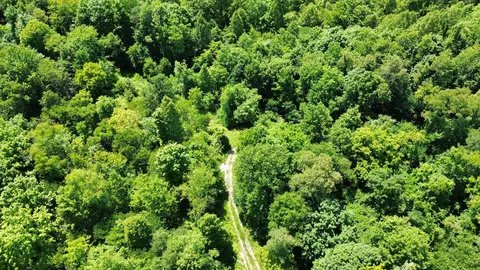 View/Area - 450 Ky Hwy 542, Jackson, KY 41339 photo 4 of 13