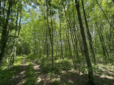 Other - 450 Ky Hwy 542, Jackson, KY 41339 photo 42 of 80