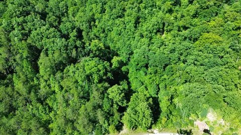 View/Area - 450 Ky Hwy 542, Jackson, KY 41339 photo 12 of 13