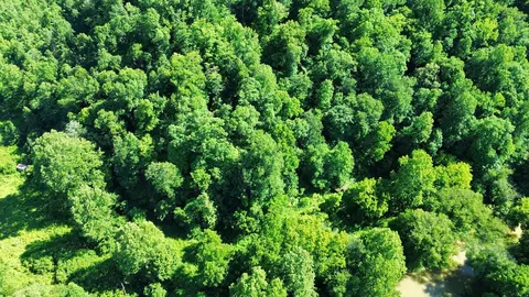 View/Area - 450 Ky Hwy 542, Jackson, KY 41339 photo 7 of 13