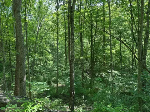 Other - 450 Ky Hwy 542, Jackson, KY 41339 photo 40 of 80