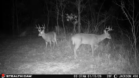 Other - 450 Ky Hwy 542, Jackson, KY 41339 photo 65 of 80
