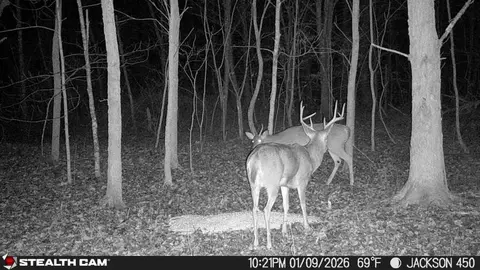 Other - 450 Ky Hwy 542, Jackson, KY 41339 photo 60 of 80