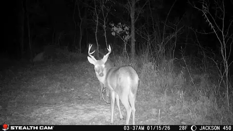 Other - 450 Ky Hwy 542, Jackson, KY 41339 photo 59 of 80