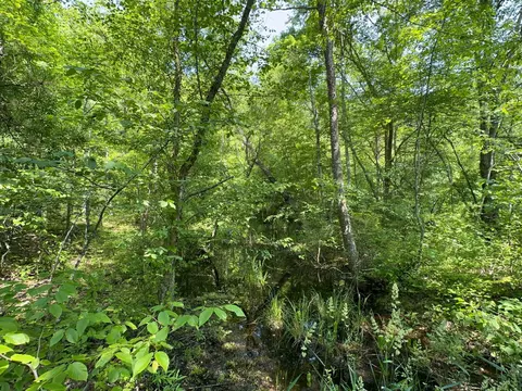 Other - 450 Ky Hwy 542, Jackson, KY 41339 photo 41 of 80