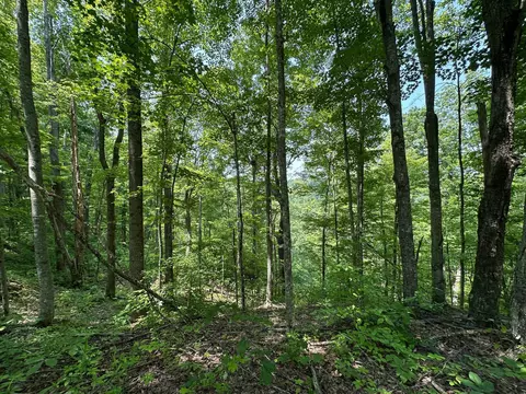 Exterior - 450 Ky Hwy 542, Jackson, KY 41339 photo 16 of 60