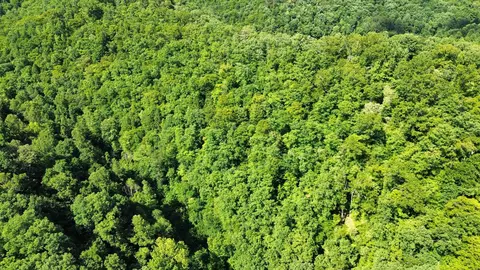 View/Area - 450 Ky Hwy 542, Jackson, KY 41339 photo 11 of 13