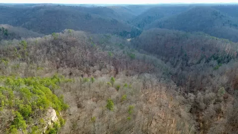 Other - 450 Ky Hwy 542, Jackson, KY 41339 photo 28 of 80