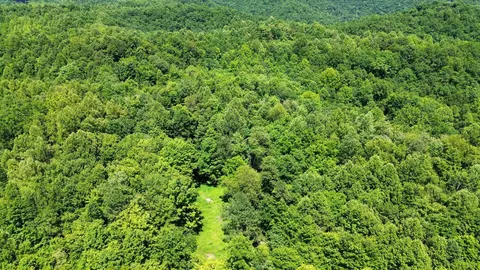 View/Area - 450 Ky Hwy 542, Jackson, KY 41339 photo 2 of 13